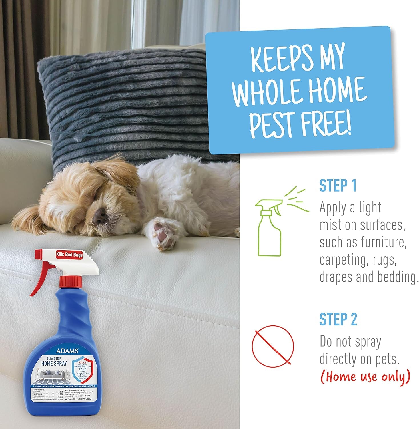 Home Spray + Shampoo Bundle