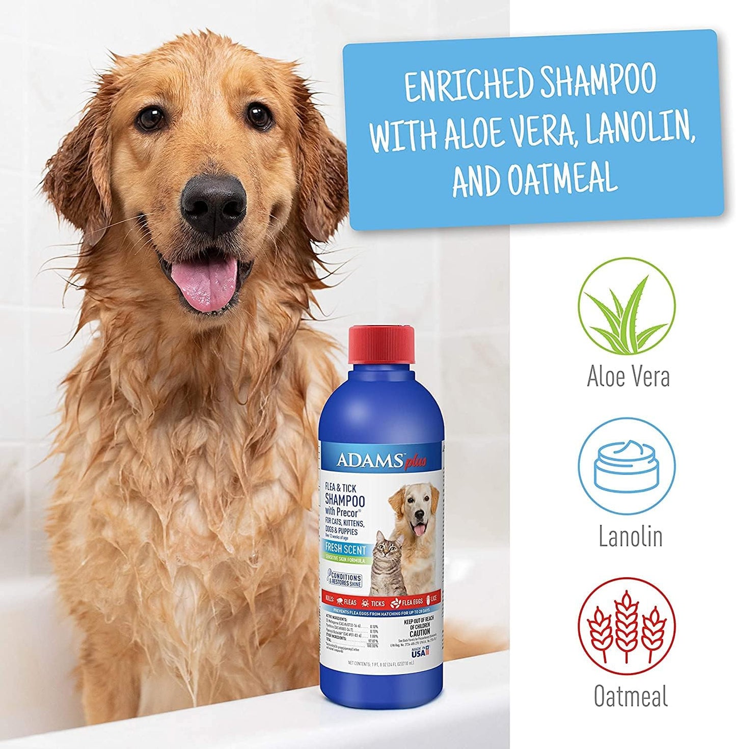 Home Spray + Shampoo Bundle